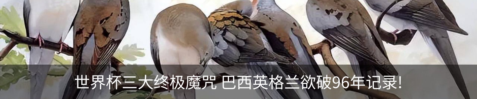内页banner
