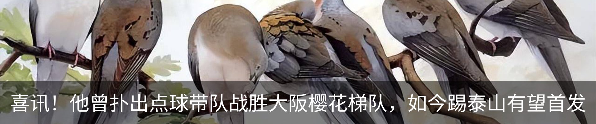 内页banner