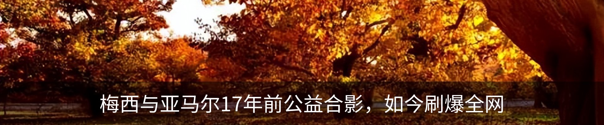 内页banner